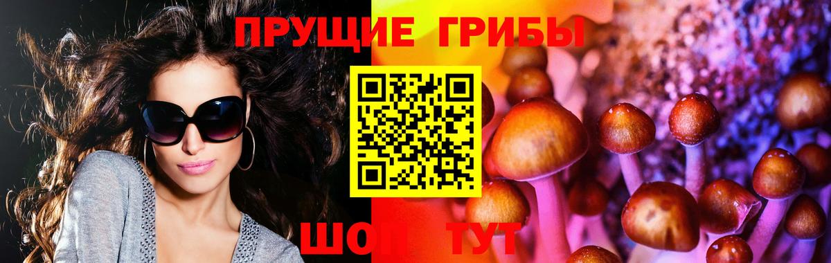 Псилоцибиновые грибы MAGIC MUSHROOMS  купить закладку  Новый Уренгой  Вход с VPN 